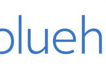 Bluehost Announces its First Annual WP CreatorCon Virtual Event