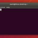 Top 10 Terminal Commands Every Linux User Should Know