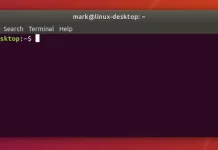 Top 10 Terminal Commands Every Linux User Should Know